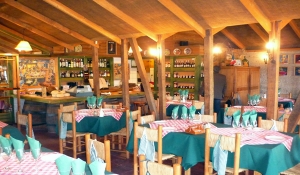 Capitán Pastene: Localidad turística-gastronómica en Nahuelbuta