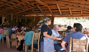 Conozca la gastronomía mapuche que deleita paladares