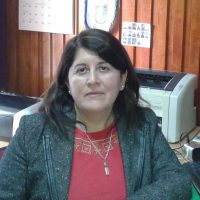 Patricia Hernandez O. Encargada Unidad Provincial Chiloe   Div. Analisis y Control de Gestion