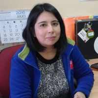 Paula Manquemilla R.  Unidad Provincial Chiloe   Div. Analisis y Control de Gestion