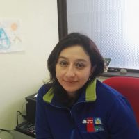 Tamara Gonzalez A.                        Div. de Administracion y Finanzas.  Secretaria Ejecutiva del Consejo Regional
