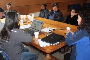 Incentivarán el uso de la medicina mapuche en Pucón